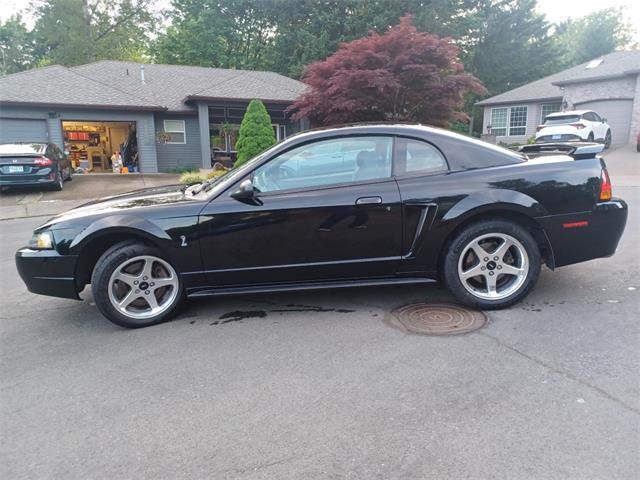 2001 Ford Mustang Cobra (CC-2071047) for sale in Reno, Nevada