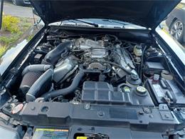 2001 Ford Mustang Cobra (CC-2071047) for sale in Reno, Nevada
