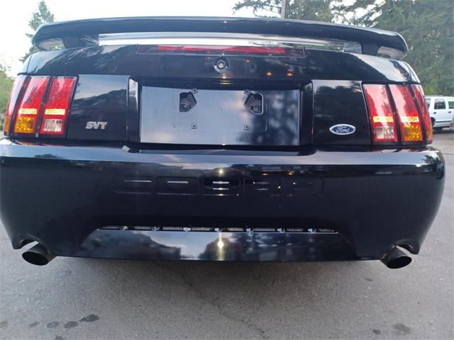 2001 Ford Mustang Cobra (CC-2071047) for sale in Reno, Nevada