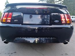 2001 Ford Mustang Cobra (CC-2071047) for sale in Reno, Nevada