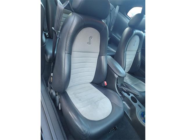 2001 Ford Mustang Cobra (CC-2071047) for sale in Reno, Nevada