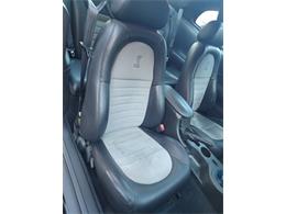 2001 Ford Mustang Cobra (CC-2071047) for sale in Reno, Nevada