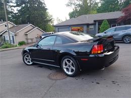 2001 Ford Mustang Cobra (CC-2071047) for sale in Reno, Nevada