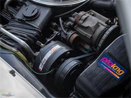 1979 Chevrolet Corvette (CC-2071062) for sale in Torrance, California