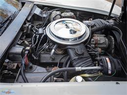 1979 Chevrolet Corvette (CC-2071062) for sale in Torrance, California