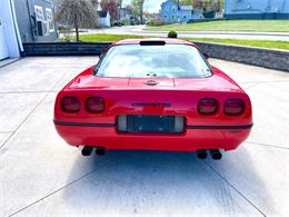 1990 Chevrolet Corvette (CC-2071069) for sale in Hilton, New York