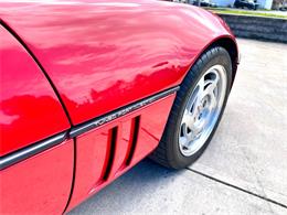 1990 Chevrolet Corvette (CC-2071069) for sale in Hilton, New York