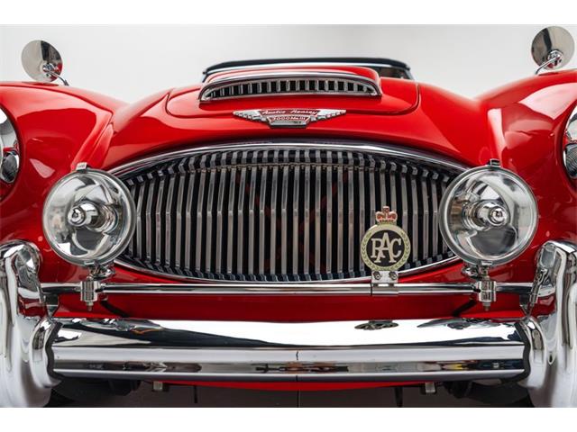 1967 Austin-Healey 3000 (CC-2071082) for sale in Fort Lauderdale, Florida