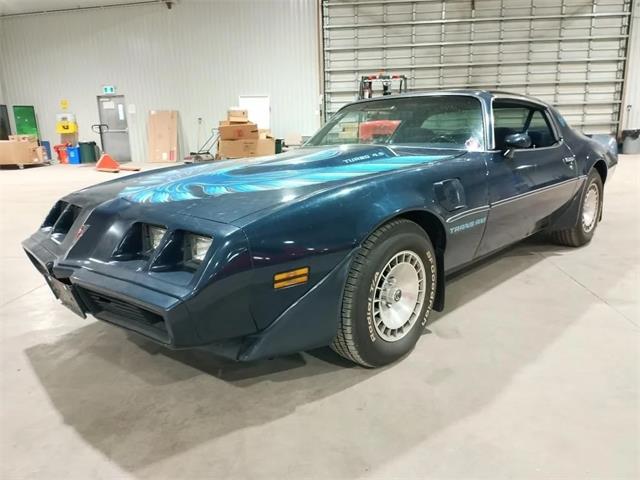1980 Pontiac Firebird Trans Am (CC-2071089) for sale in  Puslinch, Ontario