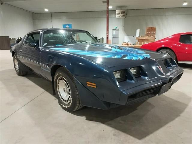 1980 Pontiac Firebird Trans Am (CC-2071089) for sale in  Puslinch, Ontario