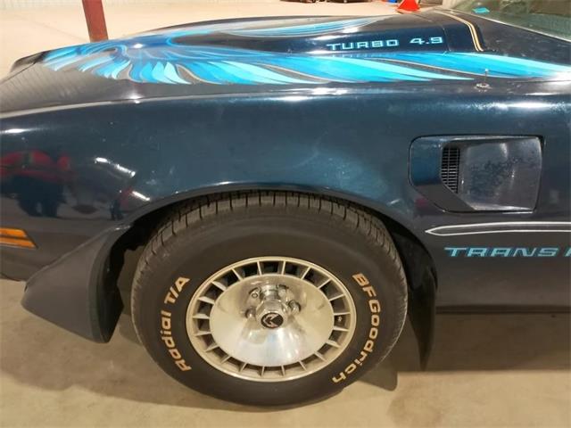1980 Pontiac Firebird Trans Am (CC-2071089) for sale in  Puslinch, Ontario
