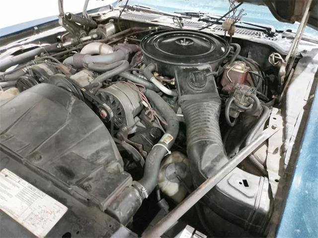 1980 Pontiac Firebird Trans Am (CC-2071089) for sale in  Puslinch, Ontario