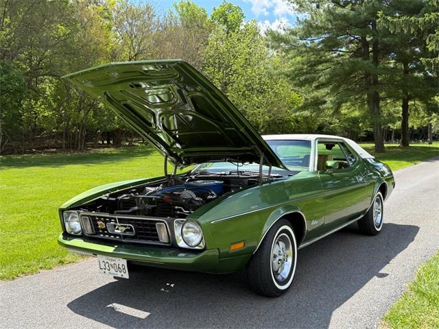 1973 Ford Mustang (CC-2071120) for sale in Clarksburg, Maryland