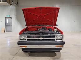 1991 Chevrolet S10 (CC-2071127) for sale in  Puslinch, Ontario