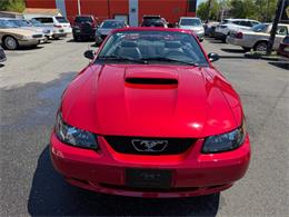2001 Ford Mustang (CC-2070116) for sale in Edison, New Jersey