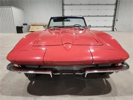 1964 Chevrolet Corvette Stingray (CC-2071189) for sale in  Puslinch, Ontario