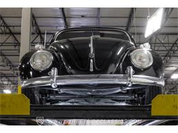 1963 Volkswagen Beetle (CC-2071227) for sale in Ft Worth, Texas