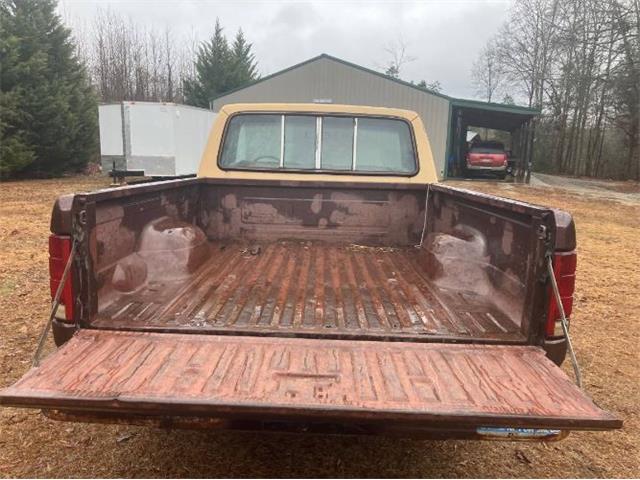 1982 Ford F150 (CC-2071237) for sale in Cadillac, Michigan
