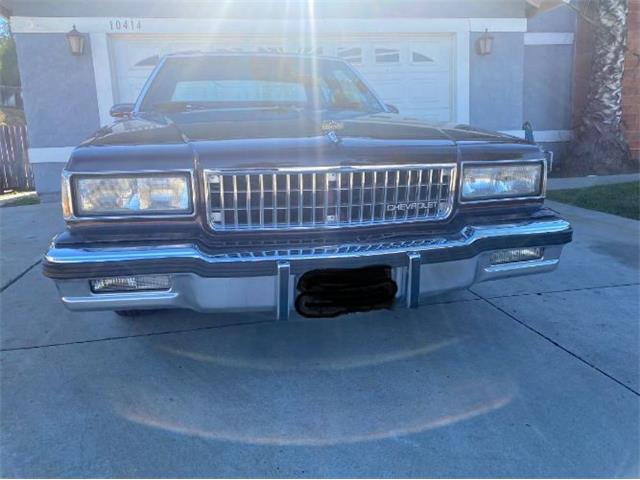 1988 Chevrolet Caprice (CC-2071265) for sale in Cadillac, Michigan