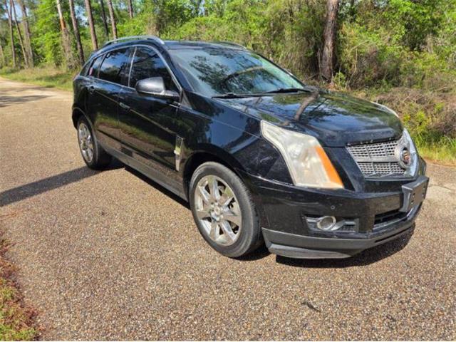 2010 Cadillac SRX (CC-2071280) for sale in Cadillac, Michigan