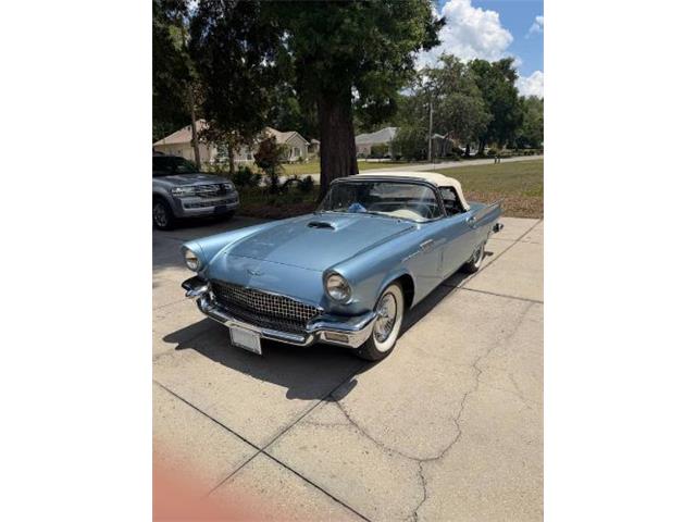 1957 Ford Thunderbird (CC-2071288) for sale in Cadillac, Michigan