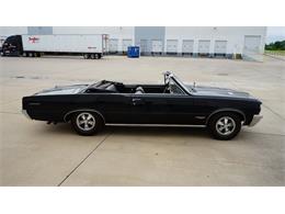 1964 Pontiac GTO (CC-2071295) for sale in Grapevine, Texas