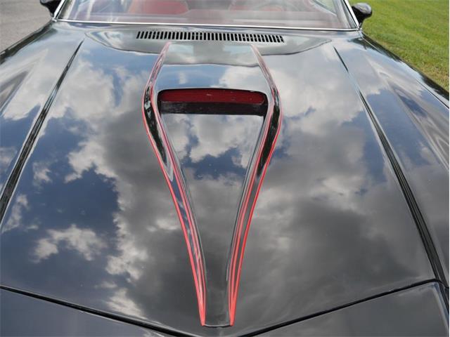 1979 Chevrolet Camaro (CC-2071297) for sale in Palmetto, Florida