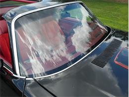 1979 Chevrolet Camaro (CC-2071297) for sale in Palmetto, Florida