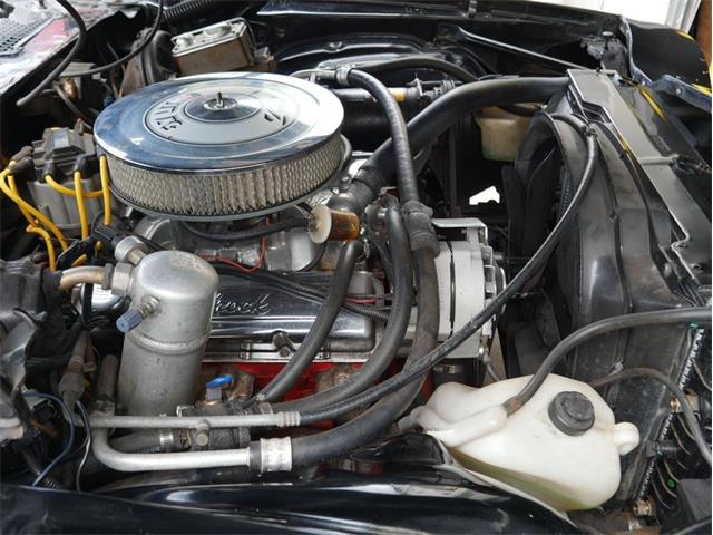 1979 Chevrolet Camaro (CC-2071297) for sale in Palmetto, Florida