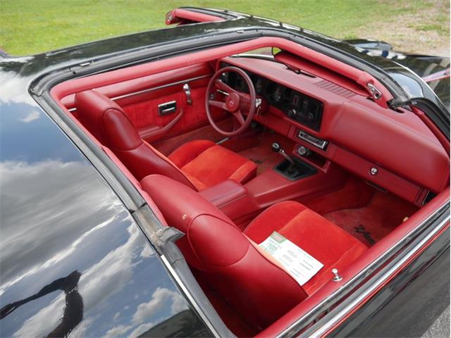 1979 Chevrolet Camaro (CC-2071297) for sale in Palmetto, Florida