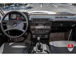 1983 Mercedes-Benz 240GD (CC-2071372) for sale in Miami, Florida