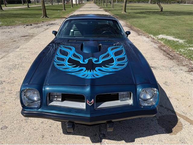 1975 Pontiac Firebird Trans Am (CC-2071383) for sale in Shelby Township, Michigan