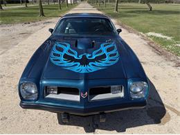1975 Pontiac Firebird Trans Am (CC-2071383) for sale in Shelby Township, Michigan