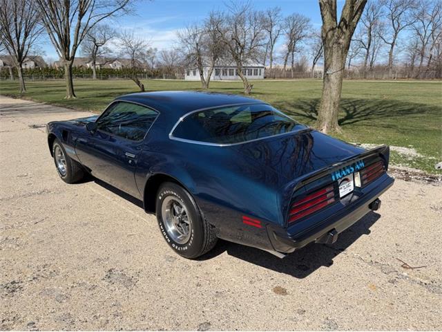 1975 Pontiac Firebird Trans Am (CC-2071383) for sale in Shelby Township, Michigan