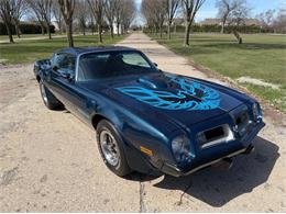 1975 Pontiac Firebird Trans Am (CC-2071383) for sale in Shelby Township, Michigan