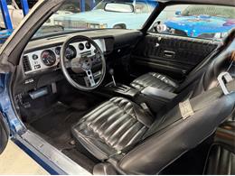 1975 Pontiac Firebird Trans Am (CC-2071383) for sale in Shelby Township, Michigan