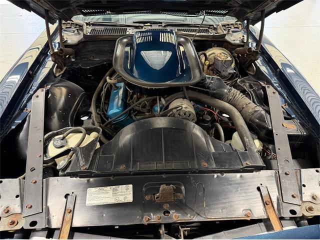1975 Pontiac Firebird Trans Am (CC-2071383) for sale in Shelby Township, Michigan