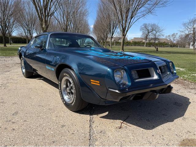 1975 Pontiac Firebird Trans Am (CC-2071383) for sale in Shelby Township, Michigan