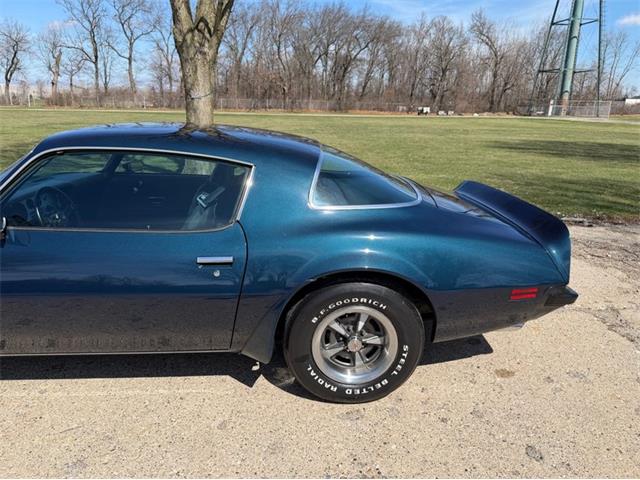 1975 Pontiac Firebird Trans Am (CC-2071383) for sale in Shelby Township, Michigan
