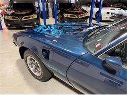 1975 Pontiac Firebird Trans Am (CC-2071383) for sale in Shelby Township, Michigan