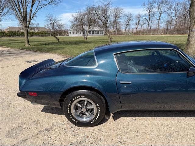 1975 Pontiac Firebird Trans Am (CC-2071383) for sale in Shelby Township, Michigan