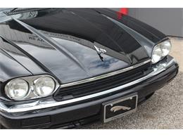 1995 Jaguar XJS (CC-2071418) for sale in Elyria, Ohio
