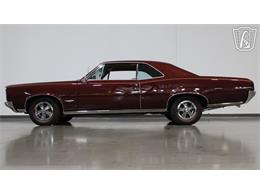 1966 Pontiac GTO (CC-2071436) for sale in Peoria, Arizona