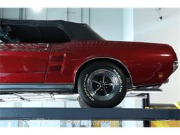 1967 Ford Mustang (CC-2071447) for sale in Lutz, Florida