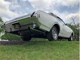 1969 Oldsmobile Cutlass (CC-2071465) for sale in Fredericksburg, Texas