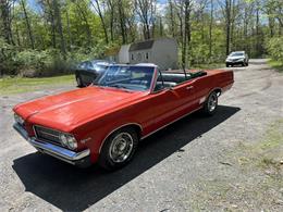 1964 Pontiac LeMans (CC-2071467) for sale in Hingham, Massachusetts