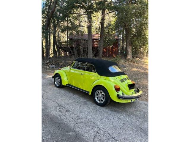 1974 Volkswagen Super Beetle (CC-2071506) for sale in Cadillac, Michigan