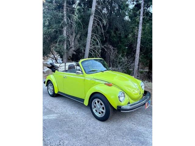 1974 Volkswagen Super Beetle (CC-2071506) for sale in Cadillac, Michigan