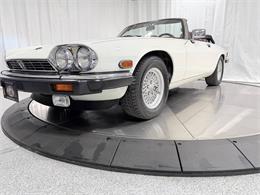 1989 Jaguar XJ (CC-2071517) for sale in Hilton, New York