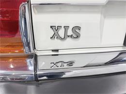 1989 Jaguar XJ (CC-2071517) for sale in Hilton, New York